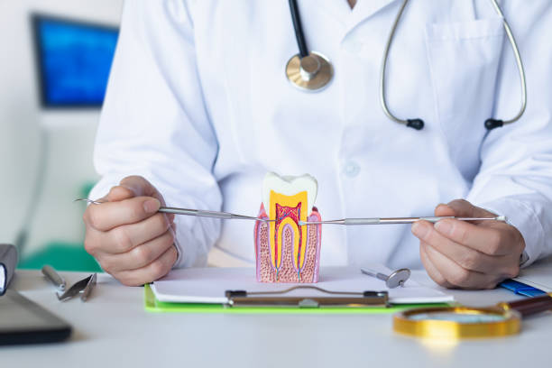Best Knocked-Out Tooth (Avulsed Tooth) Treatment in Colfax, CA